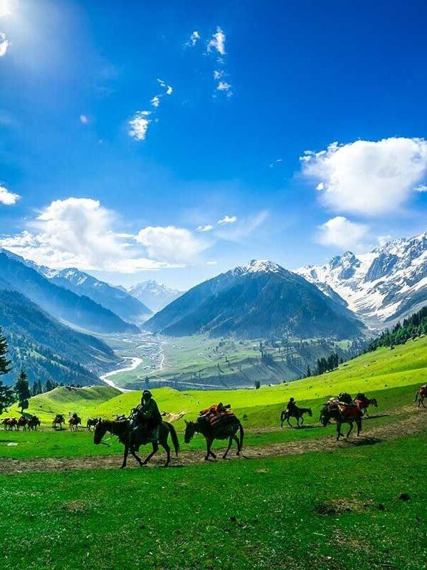 jammu and kashmir